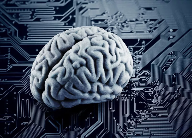 Brain the Computer